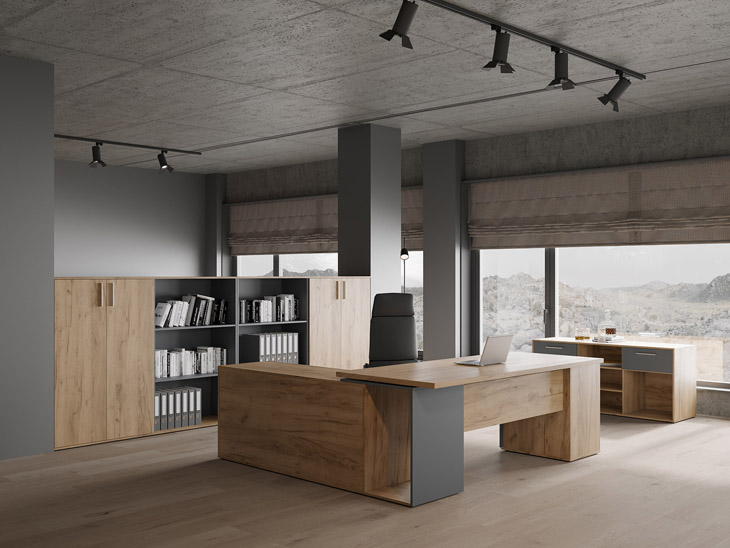 Zion Light Zion_Light_02.jpg